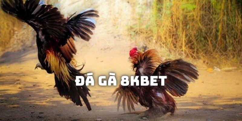 Sơ lược thông tin về loại hình game đá gà 8KBET